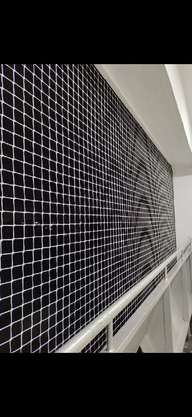 Durable pigeon exclusion netting on apartment balcony by Shrishti Enterprises
